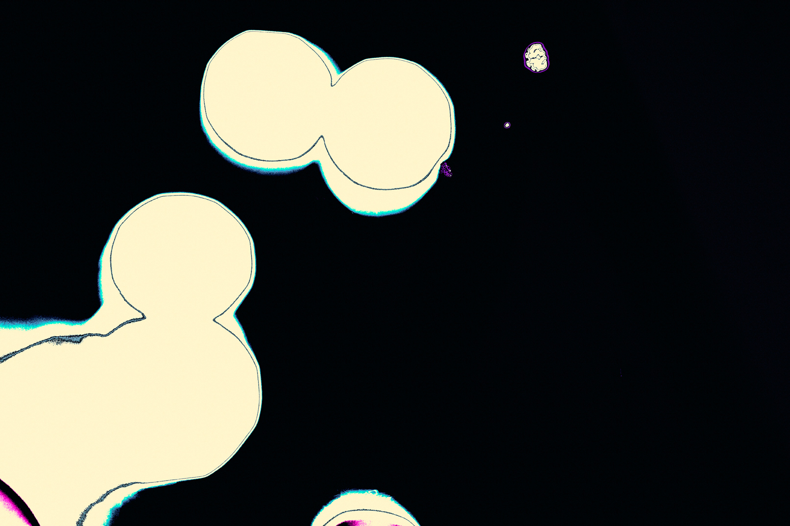 07_Lupe_Fiasco_Zachary_Bako